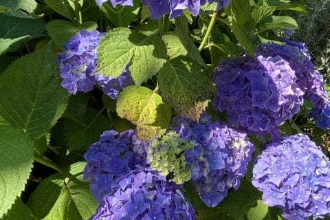 Cliquez pour zoomer ! Photo de Miminefer Thermomix par Miminefer