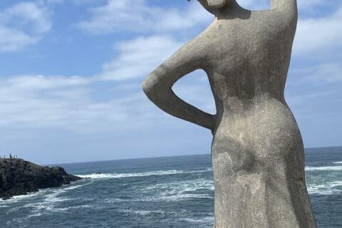 Cliquez pour zoomer ! Photo de Miminefer