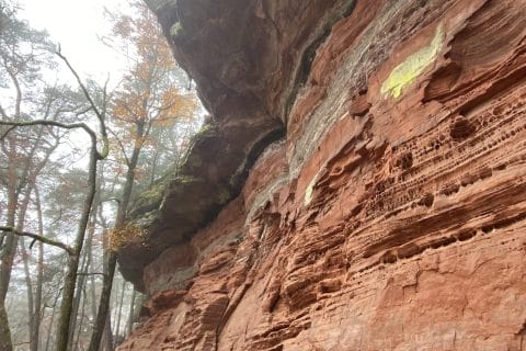 Cliquez pour zoomer ! Photo de Miminefer Thermomix par Miminefer