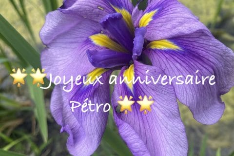 Cliquez pour zoomer ! Photo de Miminefer