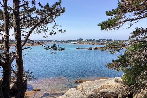 Cliquez pour zoomer ! Photo de Miminefer Thermomix par Miminefer