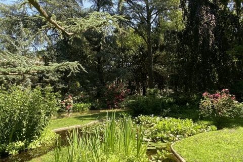 Cliquez pour zoomer ! Photo de Miminefer