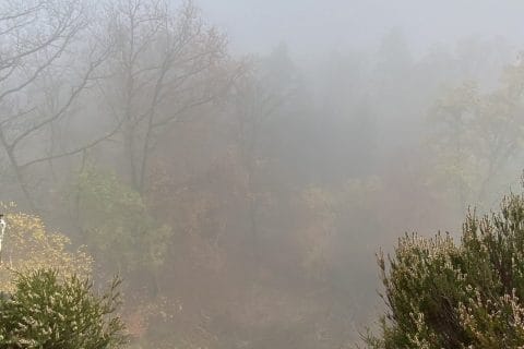 Cliquez pour zoomer ! Photo de Miminefer Thermomix par Miminefer