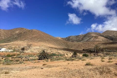 Cliquez pour zoomer ! Photo de Miminefer