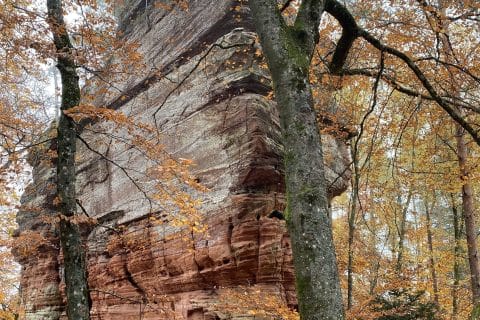 Cliquez pour zoomer ! Photo de Miminefer Thermomix par Miminefer