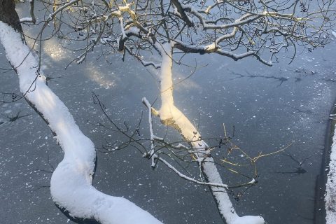 Cliquez pour zoomer ! Photo de Miminefer Thermomix par Miminefer