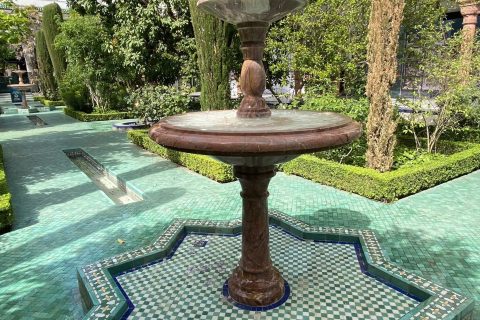 Cliquez pour zoomer ! Photo de Miminefer Thermomix par Miminefer