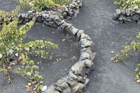 Cliquez pour zoomer ! Photo de Miminefer