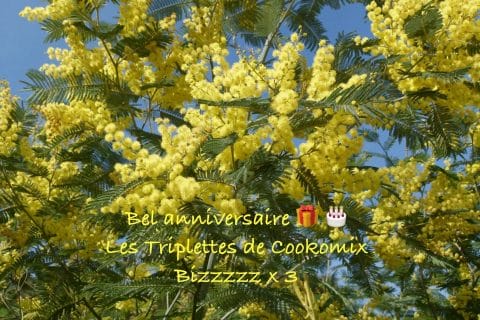 Cliquez pour zoomer ! Photo de Miminefer