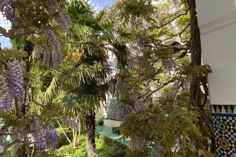 Cliquez pour zoomer ! Photo de Miminefer Thermomix par Miminefer