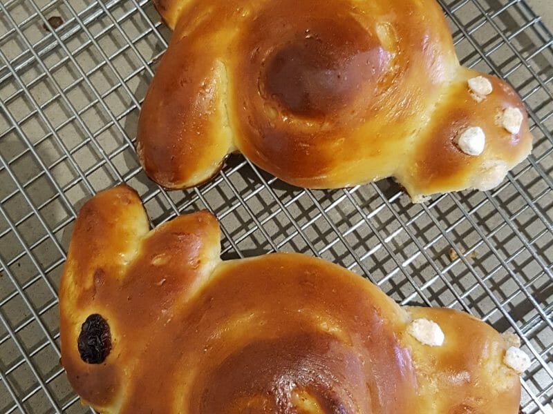 Cliquez pour zoomer ! Brioches lapin de Pâques Thermomix par Choppy