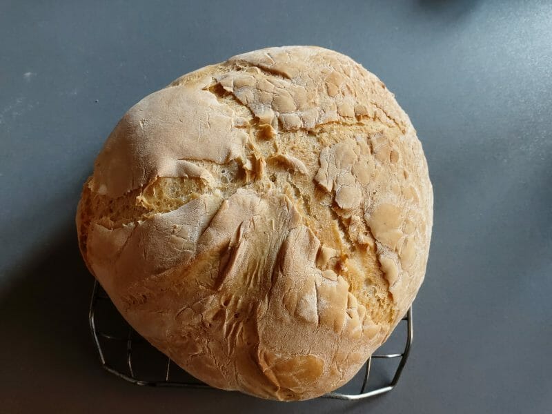 Cliquez pour zoomer ! Pain Cocotte Thermomix par clivia