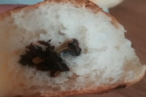 Cliquez pour zoomer ! Pain au lait Thermomix par beagel