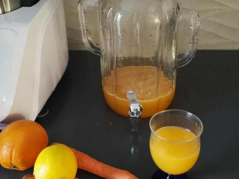 Cliquez pour zoomer ! Jus de fruits ACE Thermomix par belbel