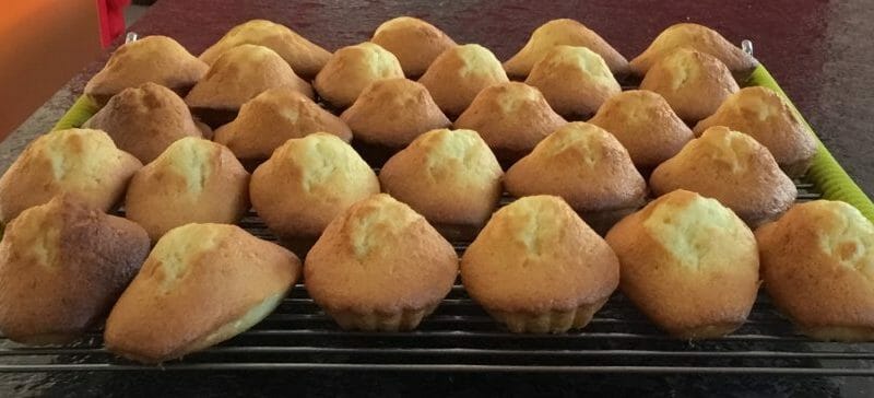 Cliquez pour zoomer ! Madeleines Thermomix par Helenet