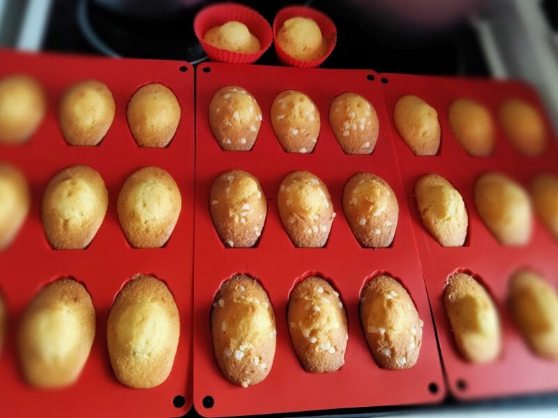 Cliquez pour zoomer ! Madeleines Thermomix par AngyBoo