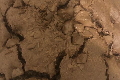 Cliquez pour zoomer ! Gâteau au chocolat des écoliers Thermomix par linamina