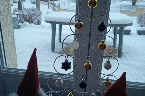 Cliquez pour zoomer ! Terrine de macédoine et surimi Thermomix par Corinne B80