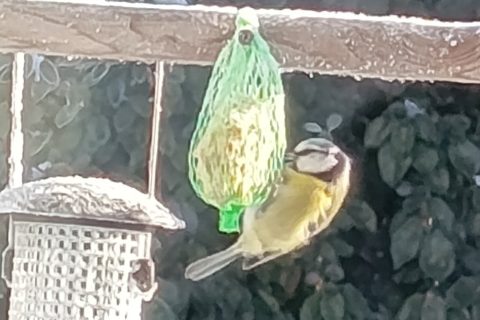 Cliquez pour zoomer ! Ficelles picardes Thermomix par Corinne B80