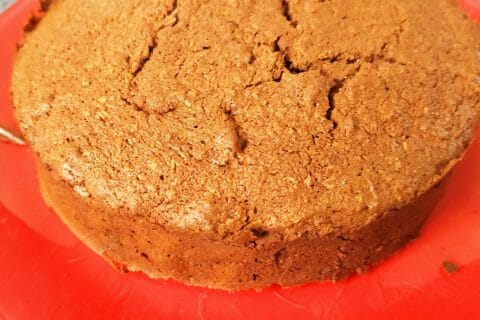 Cliquez pour zoomer ! Gâteau chocolat noix de coco Thermomix par Corinne B80