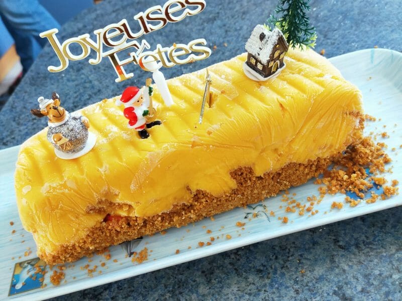 Cliquez pour zoomer ! Bûche glacée mangue et framboise Thermomix par Corinne B80