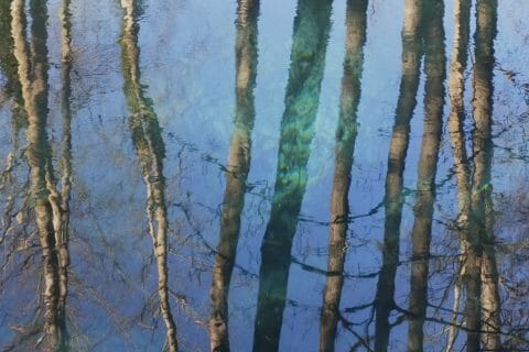 Cliquez pour zoomer ! Chili végétarien Thermomix par Corinne B80