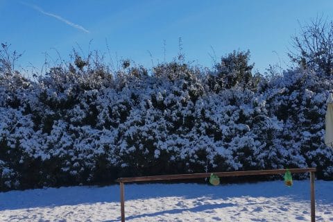 Cliquez pour zoomer ! Coulis de framboises Thermomix par Corinne B80