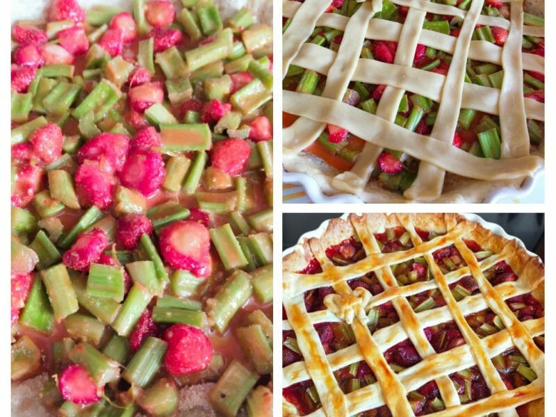 Cliquez pour zoomer ! Tarte aux fraises et à la rhubarbe Thermomix par Corinne B80