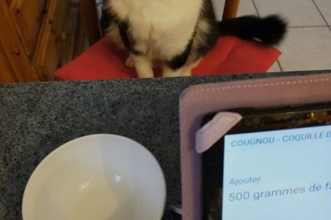 Cliquez pour zoomer ! Cougnou – Coquille de Noël Thermomix par Corinne B80