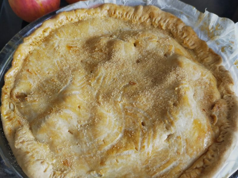 Cliquez pour zoomer ! Le patrouillard Thermomix par Corinne B80