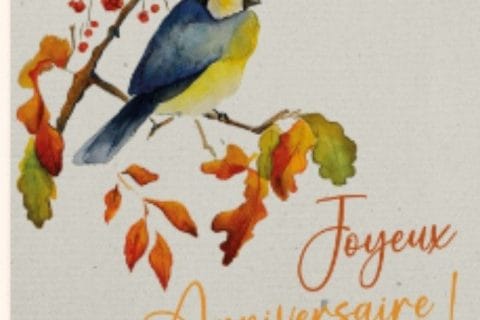 Cliquez pour zoomer ! Photo de Corinne B80