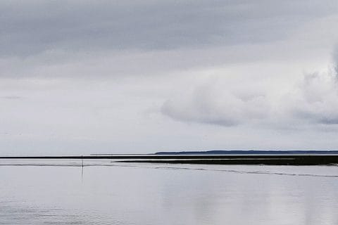 Cliquez pour zoomer ! Photo de Corinne B80