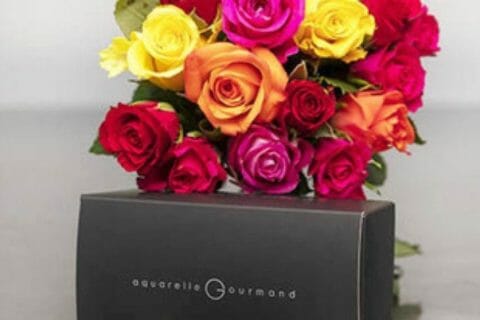 Cliquez pour zoomer ! Photo de Corinne B80