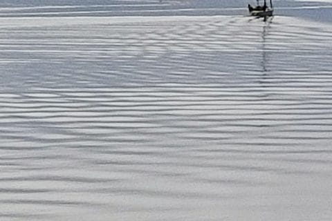 Cliquez pour zoomer ! Photo de Corinne B80