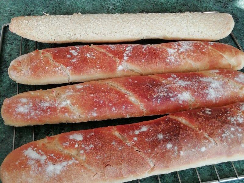 Cliquez pour zoomer ! Baguettes Thermomix par tatal