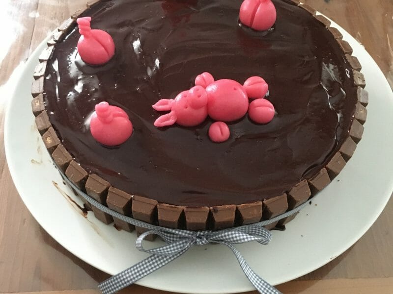 Cliquez pour zoomer ! La mare aux cochons Thermomix par Stephyjao
