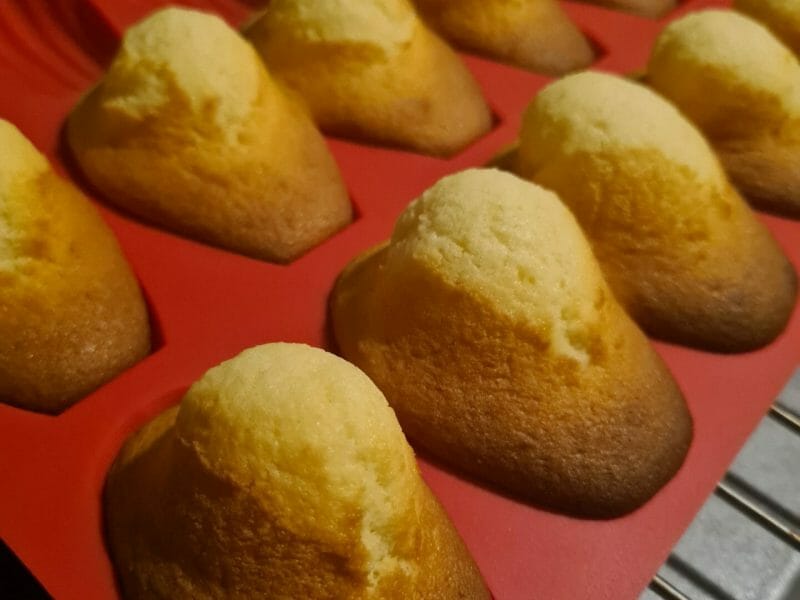 Cliquez pour zoomer ! Madeleines Thermomix par melodie_47