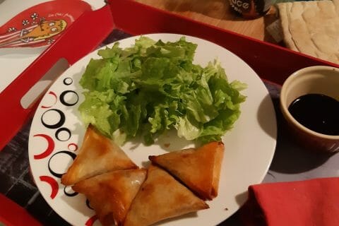 Cliquez pour zoomer ! Samoussa au boeuf Thermomix par ser