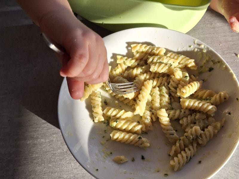 Cliquez pour zoomer ! Farfalle à la crème de courgettes Thermomix par chronia
