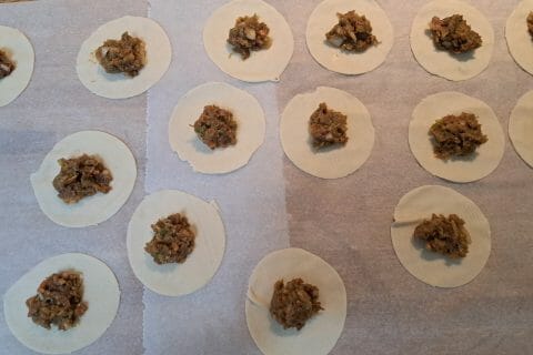 Cliquez pour zoomer ! Wang mandu – petits pains farcis à la vapeur Thermomix par sandlemaitre