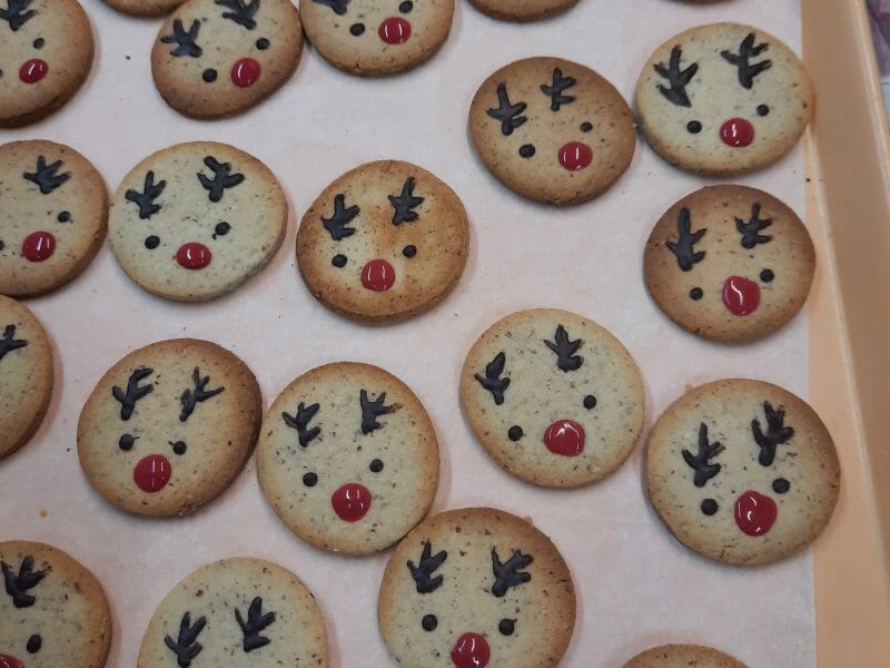 Cliquez pour zoomer ! Sablés rennes de Noël Thermomix par fanny_268