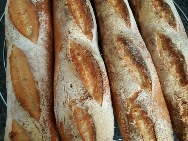Cliquez pour zoomer ! Baguettes Thermomix par malaga54