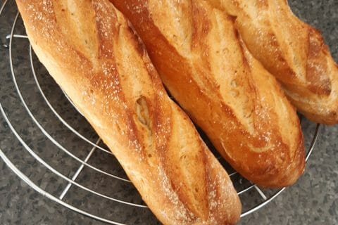 Cliquez pour zoomer ! 20210307_124237