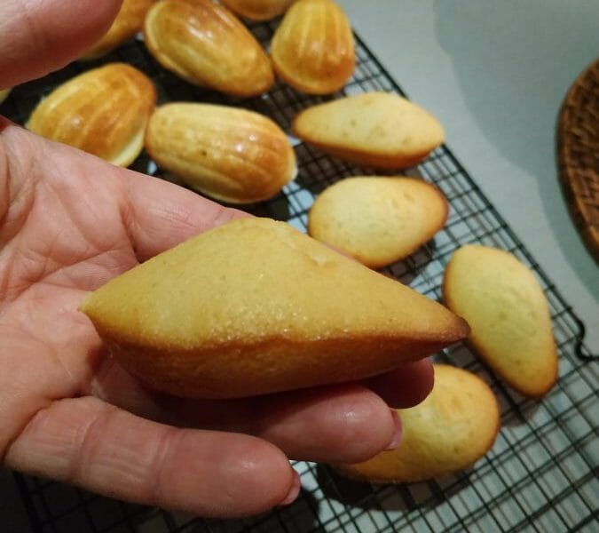 Cliquez pour zoomer ! Madeleines Thermomix par MomixAngie77