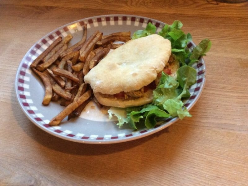 Cliquez pour zoomer ! Kebab de poulet Thermomix par Justineantoine