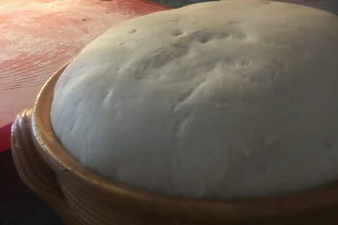 Cliquez pour zoomer ! 15AAE4F3-ADF5-4B25-8F0C-8385530A90B1