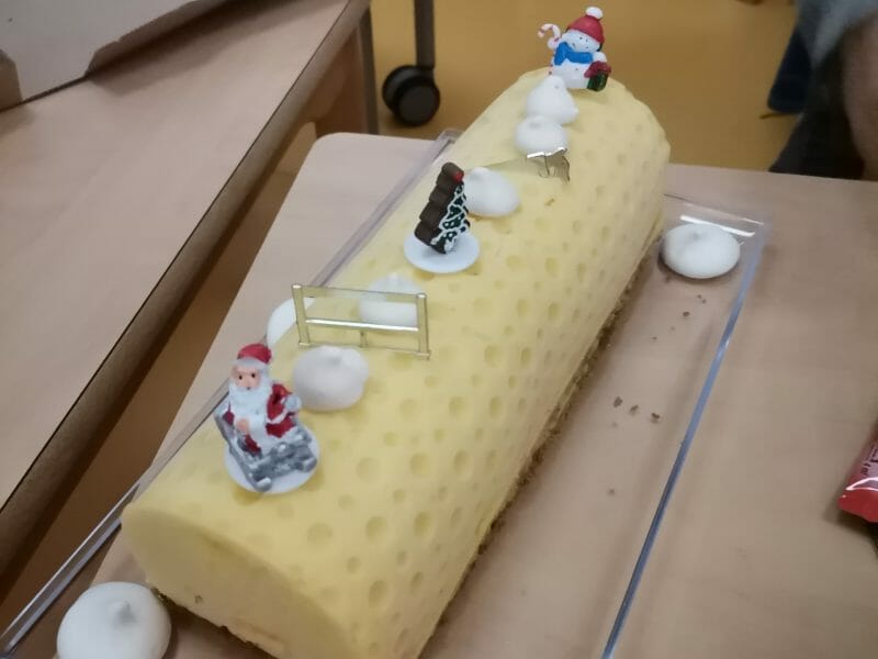 Cliquez pour zoomer ! Bûche glacée mangue et framboise Thermomix par amandineny