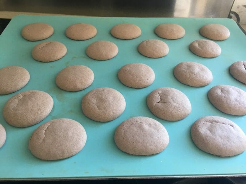 Cliquez pour zoomer ! Macarons Thermomix par Syljo