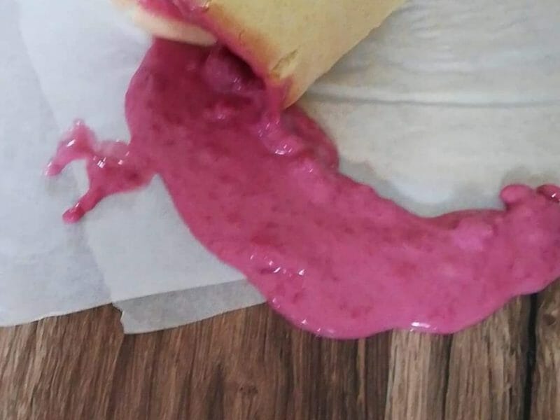 Cliquez pour zoomer ! Bûche de Noël framboises et chocolat blanc Thermomix par anais44430