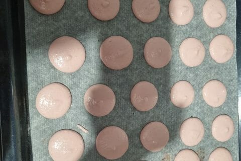 Cliquez pour zoomer ! Macarons Thermomix par nina85